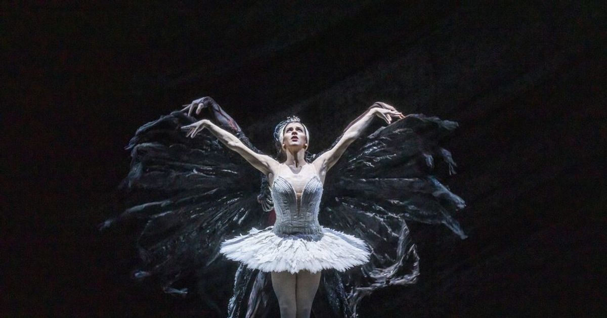 Royal Opera House | Natlab