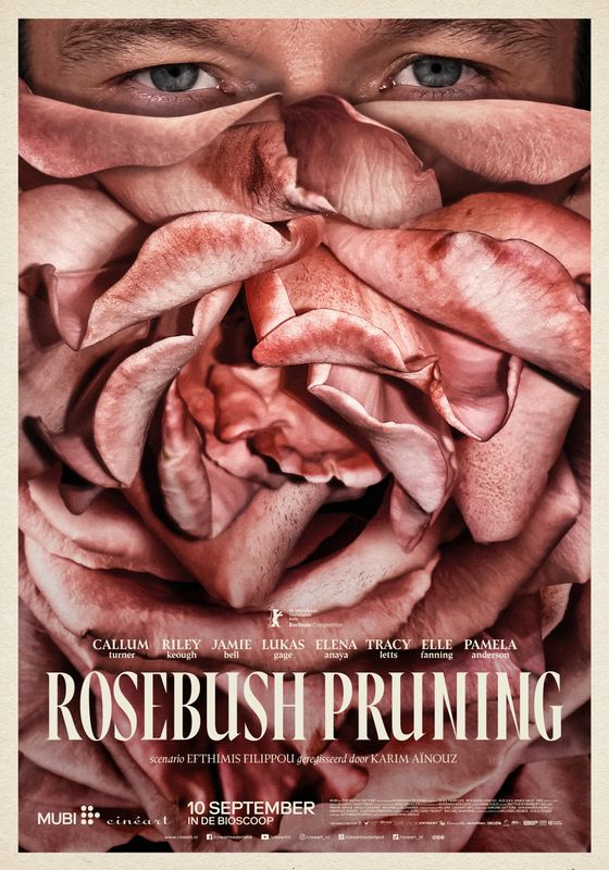 Rosebush Pruning