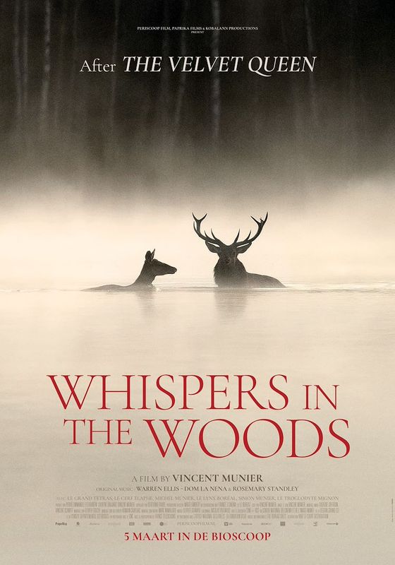 Whispers in the Woods | Met Q&A