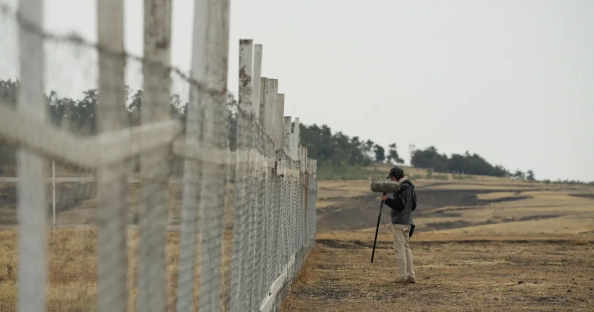 AN OPEN FIELD | IDFA Award for Best Short Documentary — Teboho Edkins ...