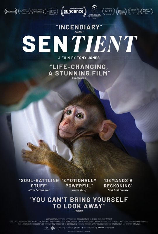 Movies that Matter | Sentient
